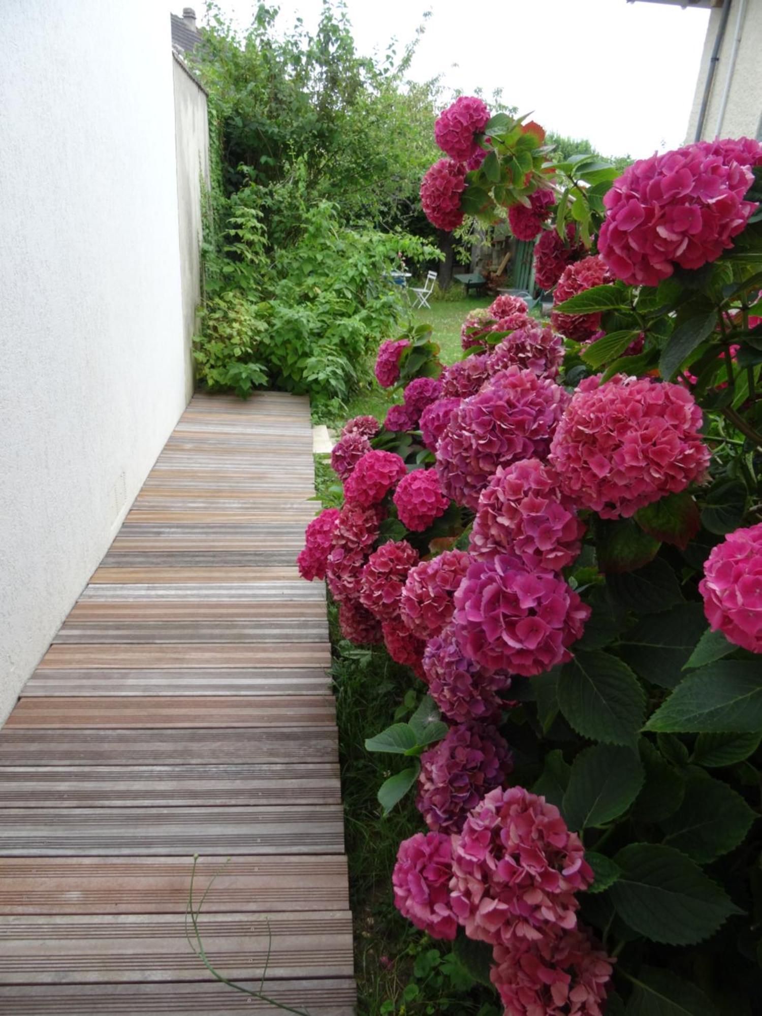 Maison D'Hotes Les Roses Tremieres Saclay Exterior foto